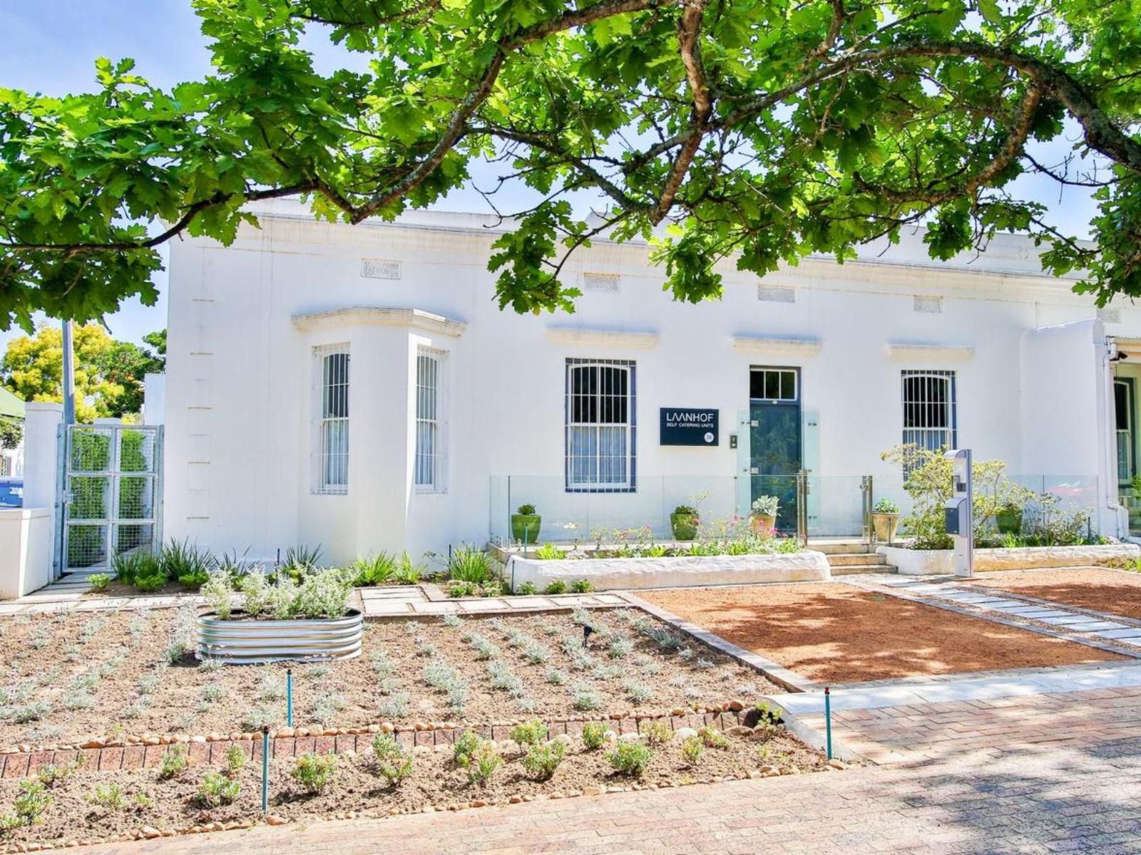 Laanhof Stellenbosch Central Stellenbosch Western Cape South Africa House, Building, Architecture, Garden, Nature, Plant