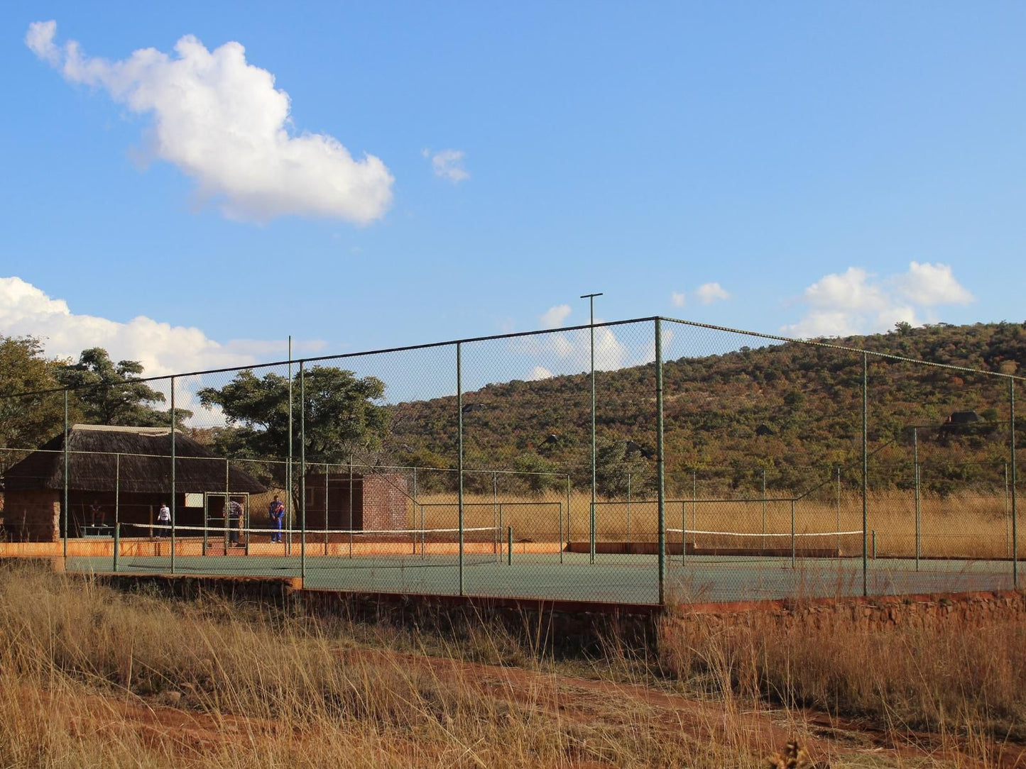 La Barune Game Lodge Vaalwater Limpopo Province South Africa Complementary Colors