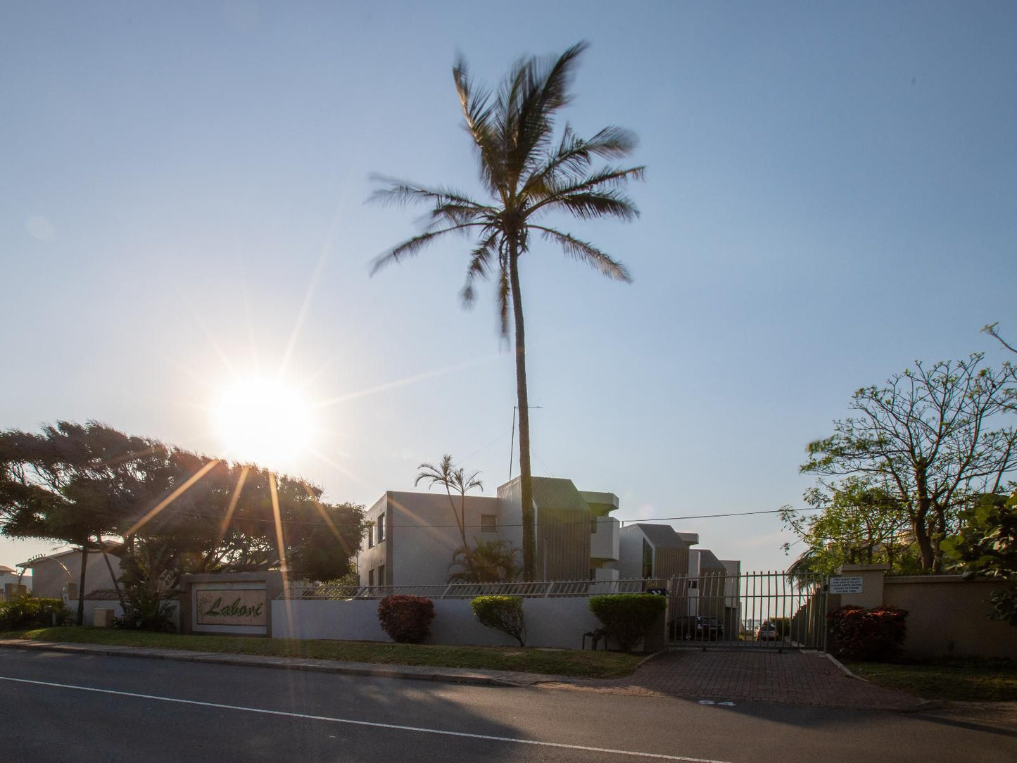 Labori Ballito Ballito Kwazulu Natal South Africa Palm Tree, Plant, Nature, Wood, Sunset, Sky