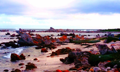 La Cachette Bettys Bay Western Cape South Africa Beach, Nature, Sand, Ocean, Waters