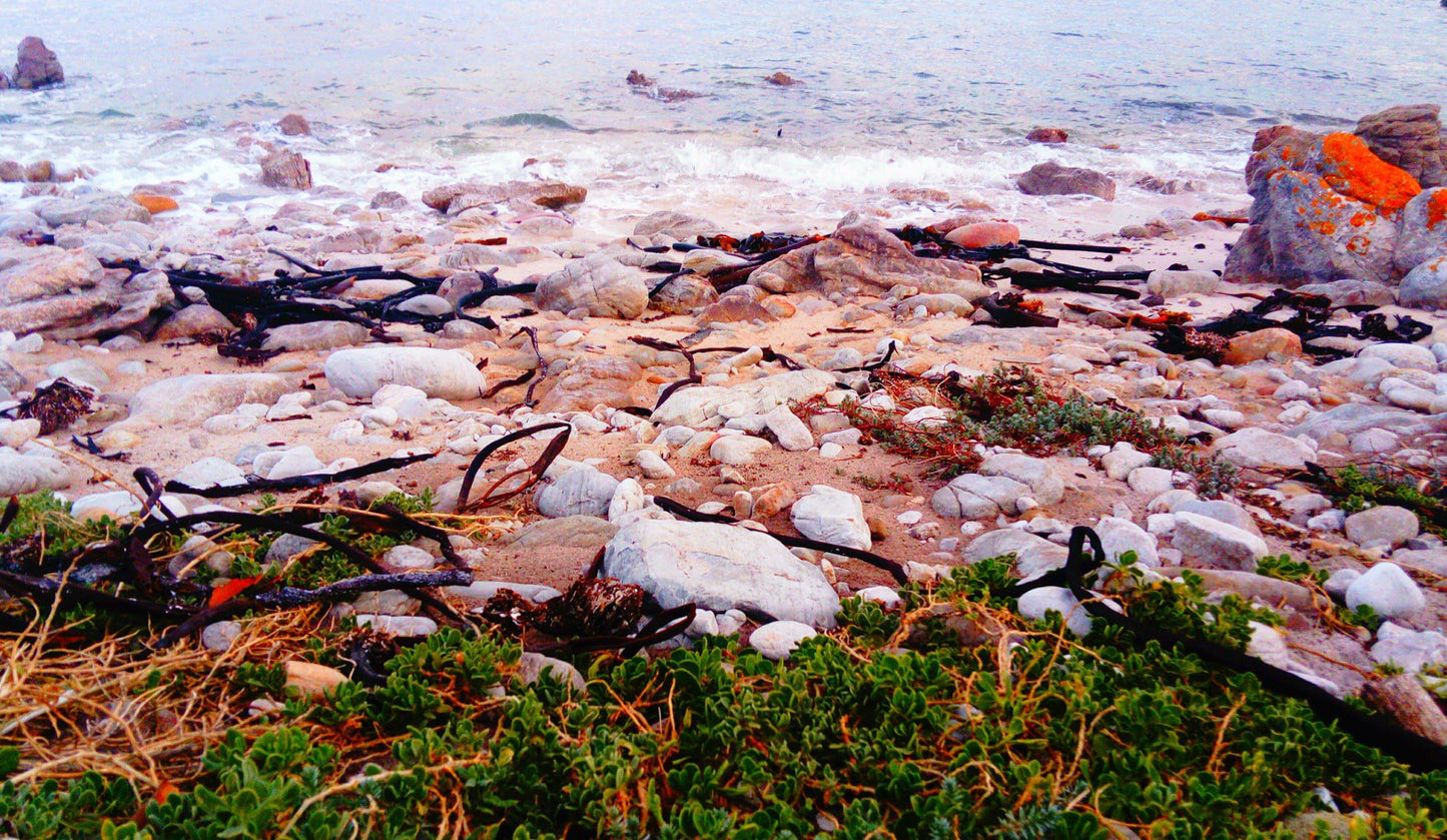 La Cachette Bettys Bay Western Cape South Africa Complementary Colors, Beach, Nature, Sand