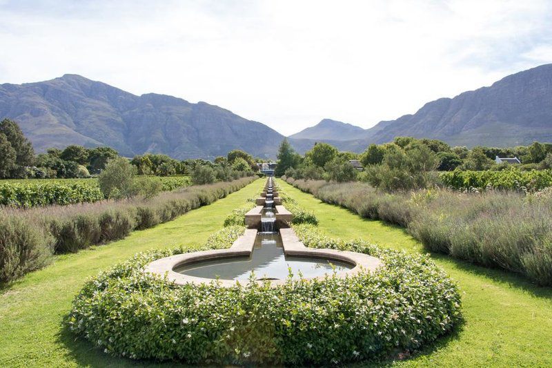 La Cle Lodge Franschhoek Western Cape South Africa Garden, Nature, Plant, Highland