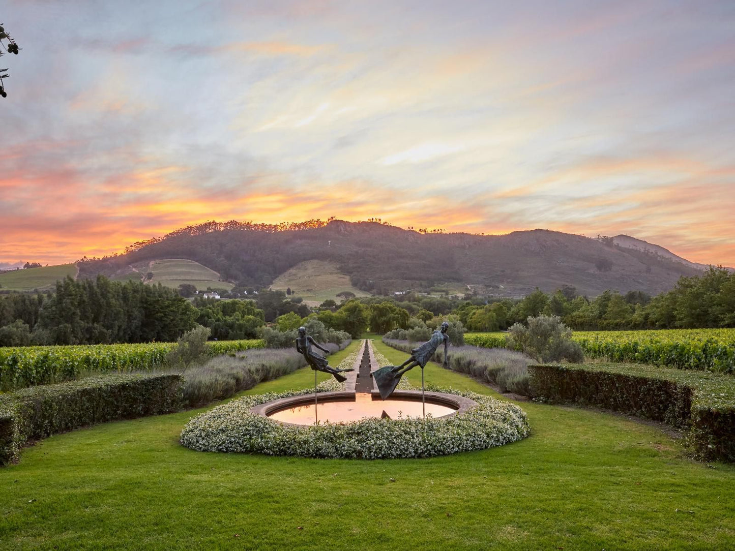 La Cle Village Franschhoek Western Cape South Africa Garden, Nature, Plant