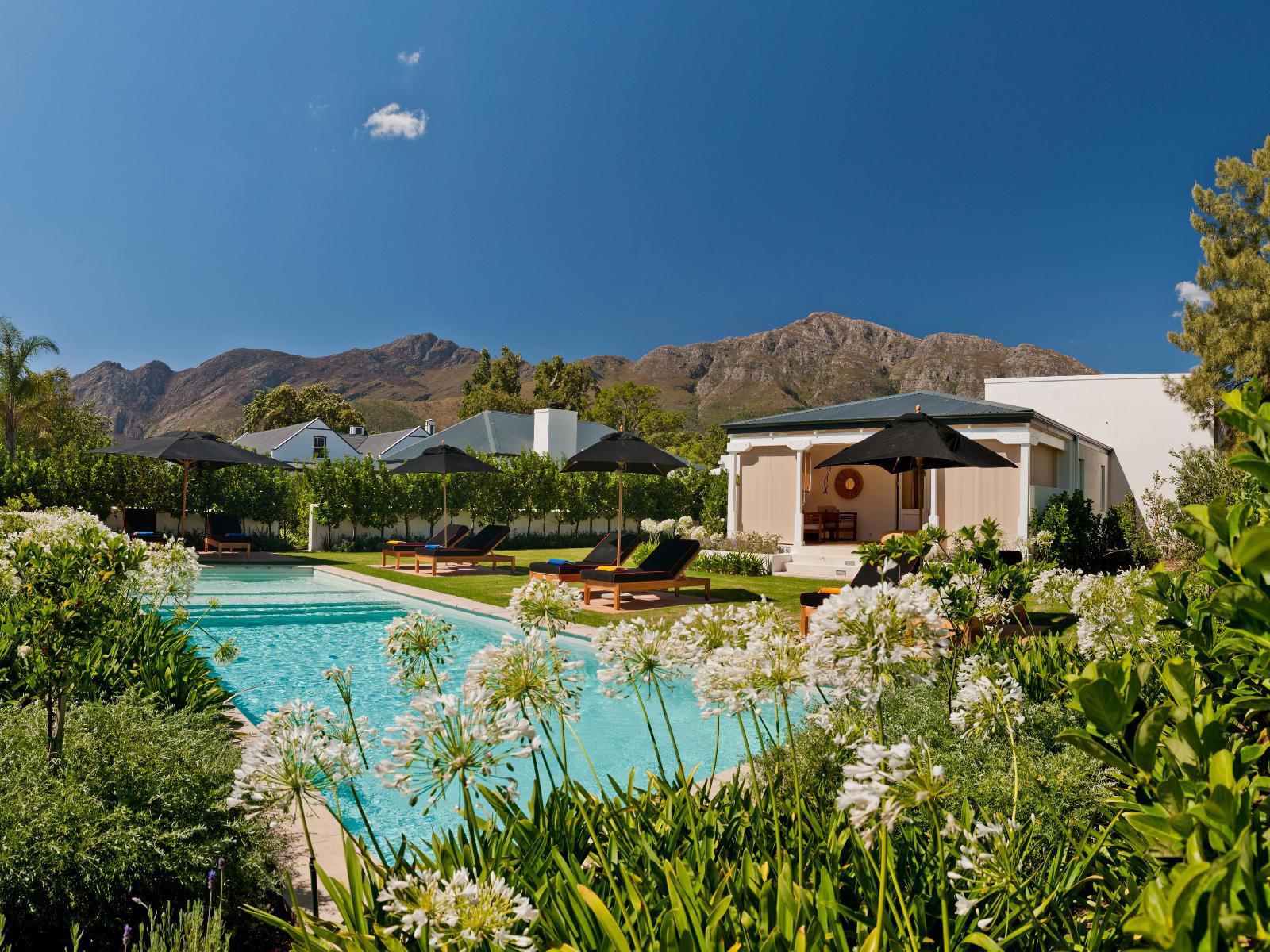 La Cle Village Franschhoek Western Cape South Africa Complementary Colors, Swimming Pool
