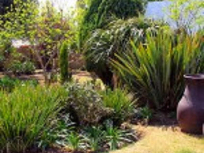 La Coscello Eastleigh Gauteng Johannesburg Gauteng South Africa Palm Tree, Plant, Nature, Wood, Garden