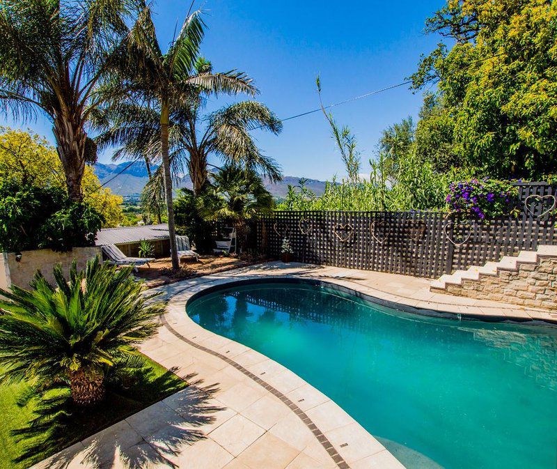 Ladera Vista Paarl Western Cape South Africa Complementary Colors, Palm Tree, Plant, Nature, Wood, Garden, Swimming Pool