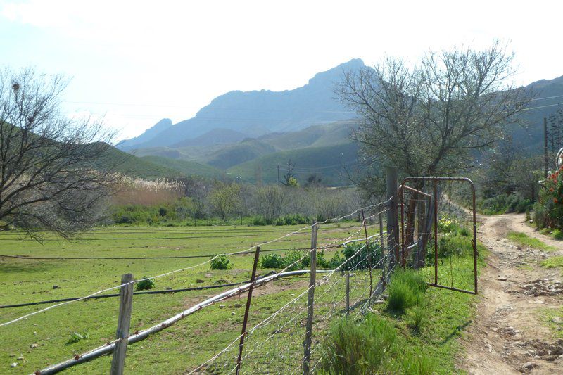 Ladismith Country House Ladismith Western Cape South Africa Mountain, Nature, Highland