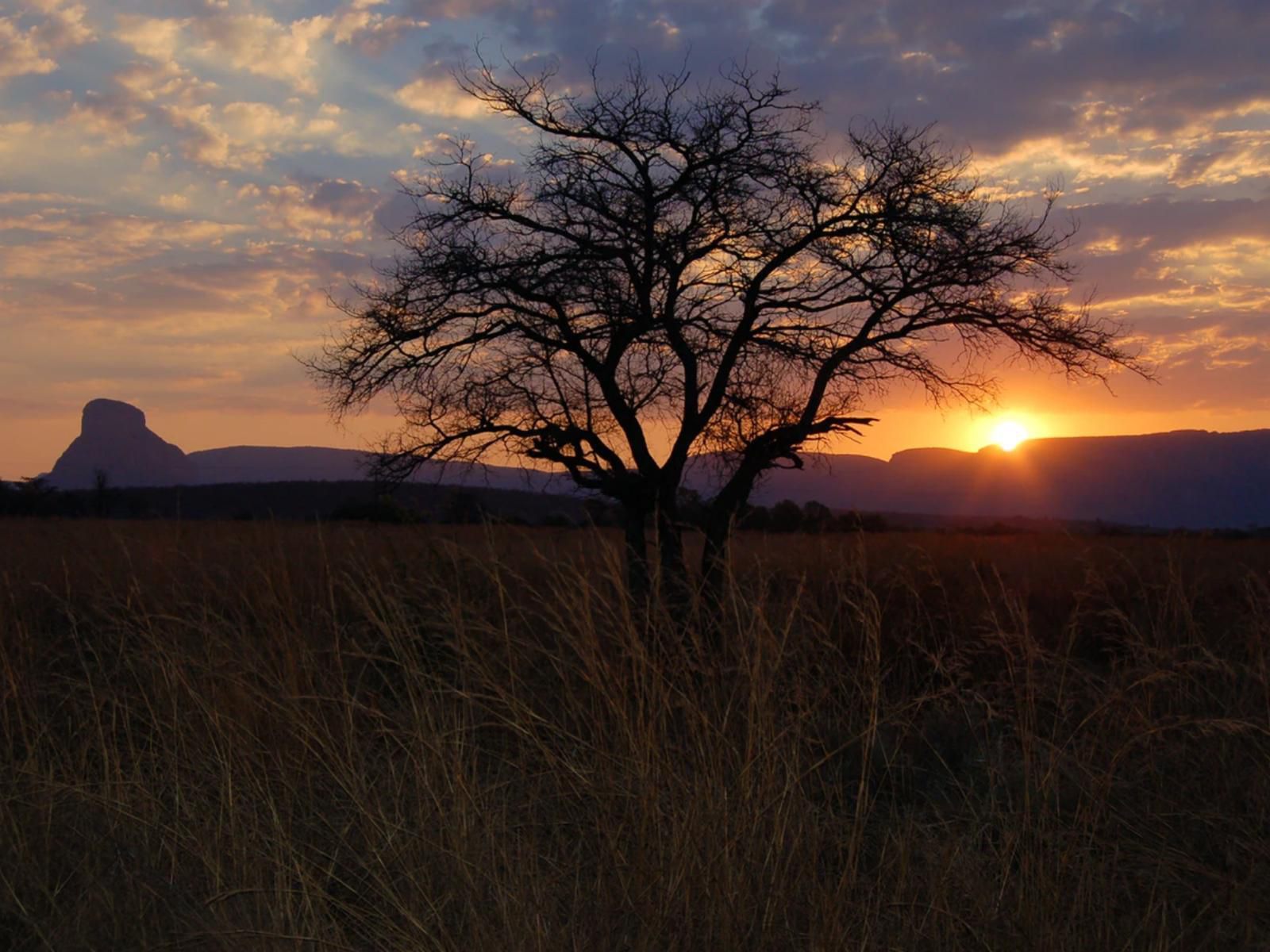 Lady Africa Bush Lodge, Sky, Nature, Lowland, Sunset