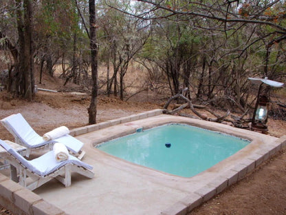 Lady Africa Bush Lodge, Swimming Pool