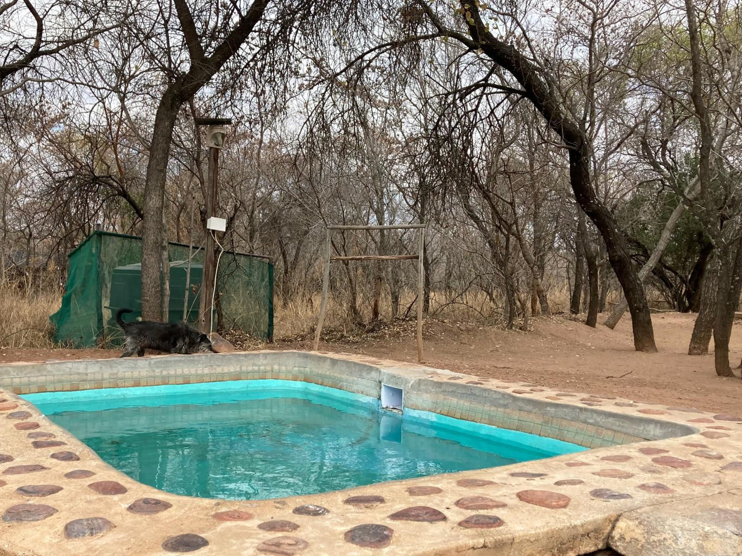 Lady Africa Bush Lodge, Swimming Pool