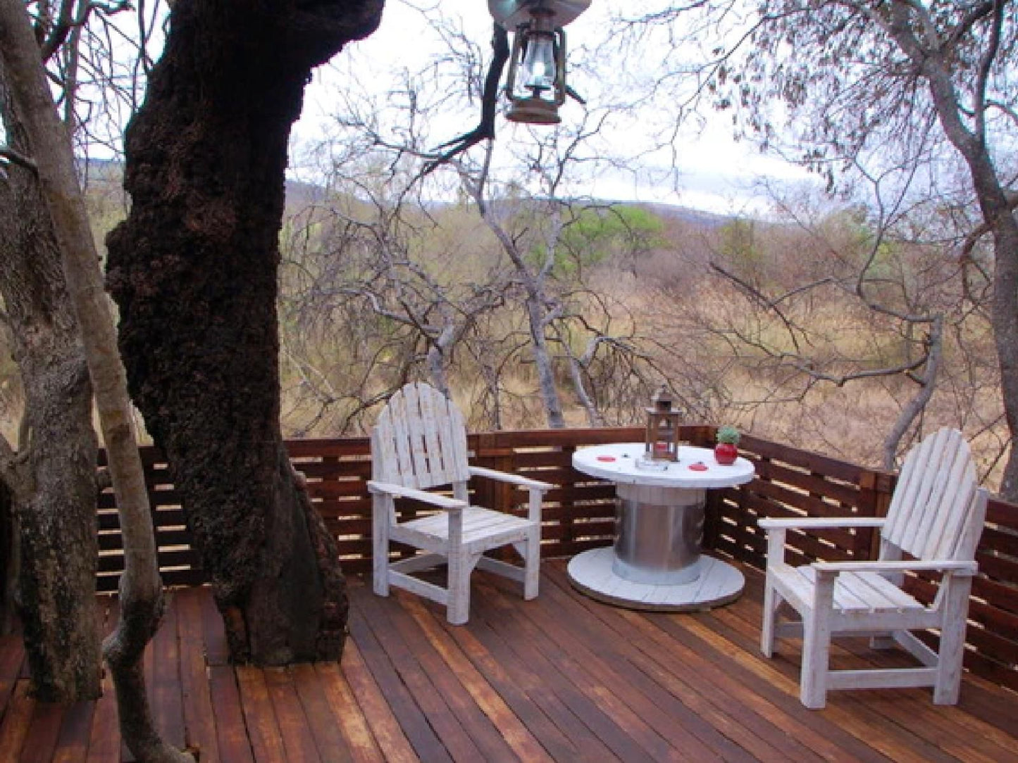 Lady Africa Bush Lodge