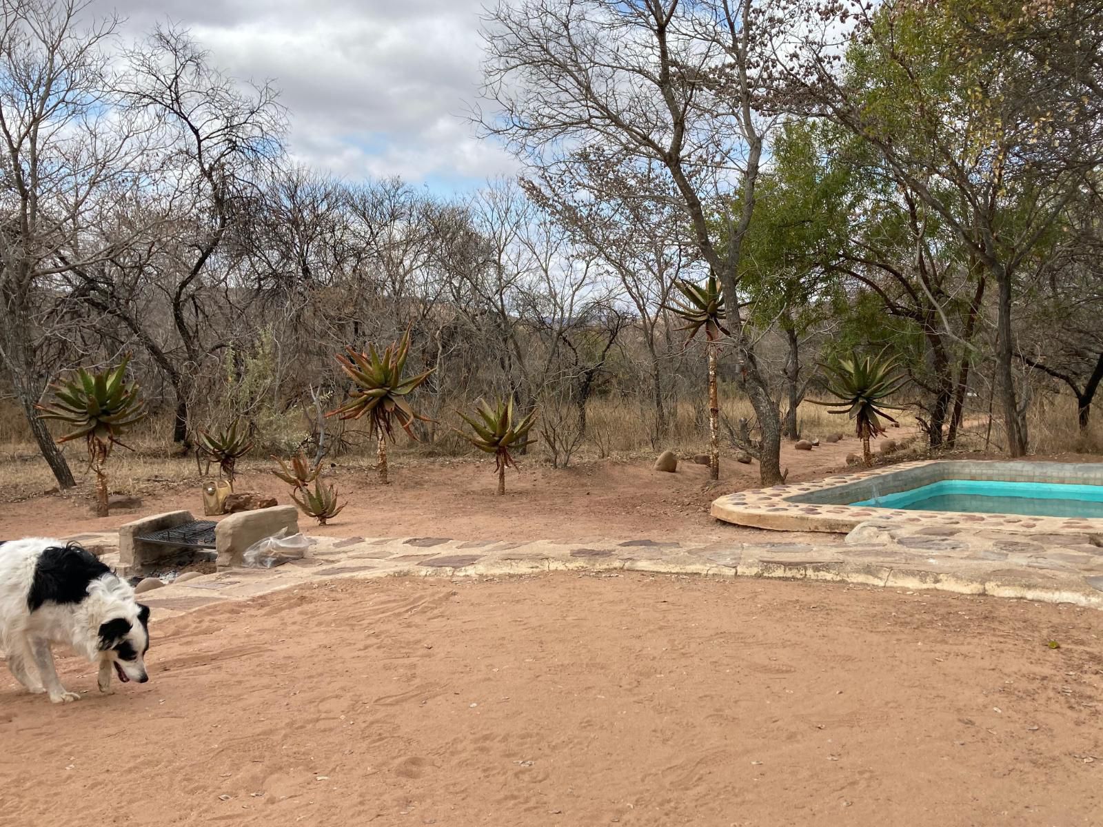 Lady Africa Bush Lodge, Honeymoon Suite, Swimming Pool