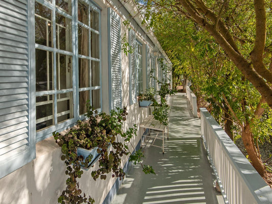 Lady Grace The Greyton Western Cape South Africa Balcony, Architecture, House, Building, Plant, Nature, Garden