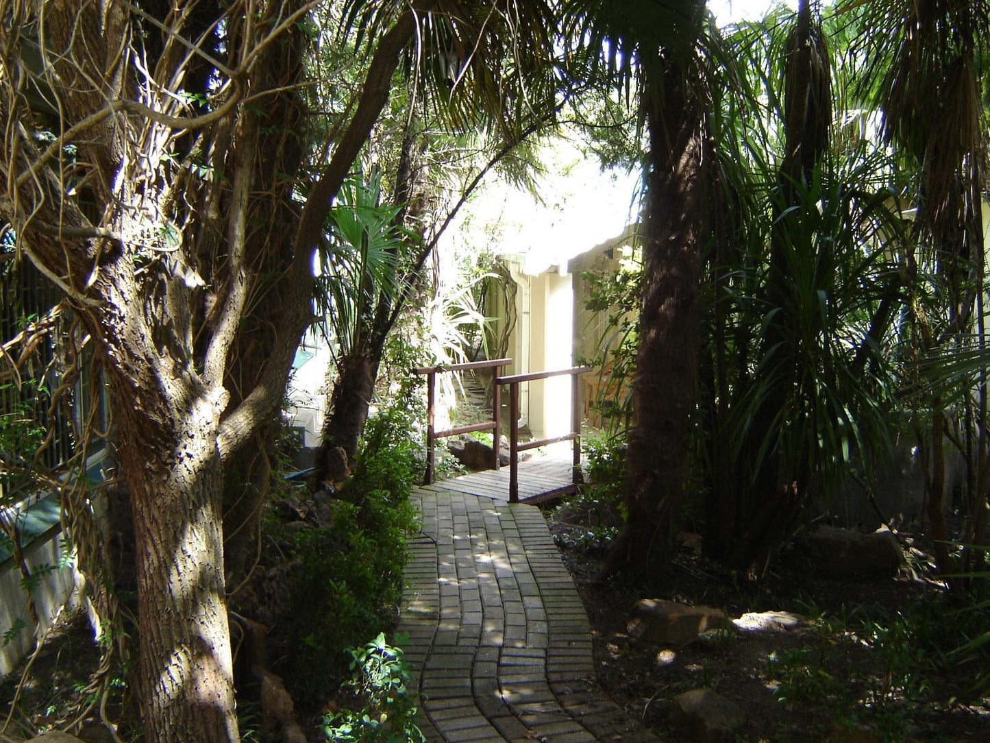 Ladybrand Guest House Ladybrand Free State South Africa Palm Tree, Plant, Nature, Wood, Tree