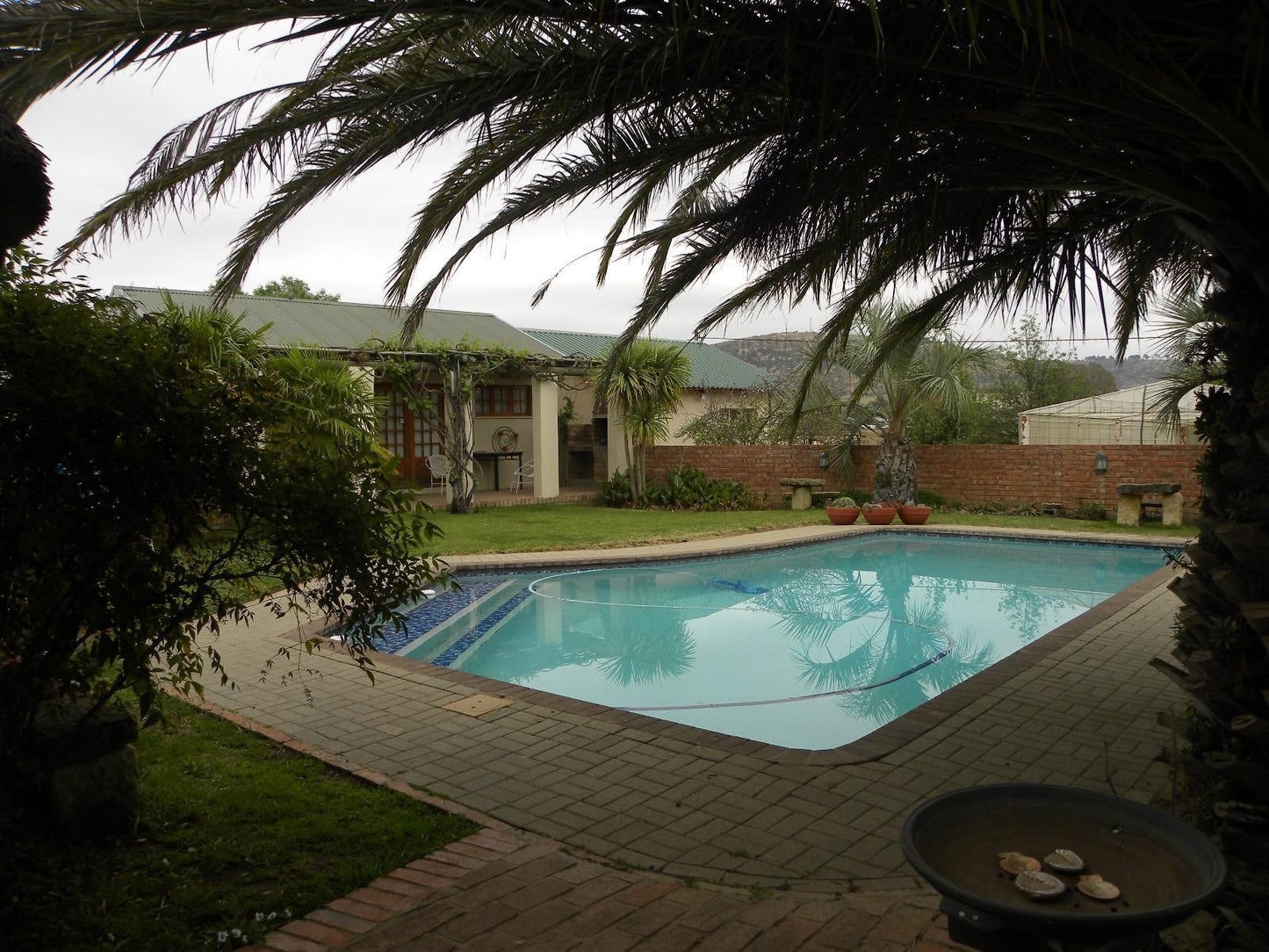 Ladybrand Guest House Ladybrand Free State South Africa Palm Tree, Plant, Nature, Wood, Swimming Pool