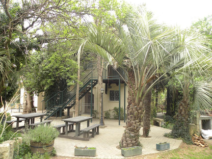 Ladybrand Guest House Ladybrand Free State South Africa House, Building, Architecture, Palm Tree, Plant, Nature, Wood