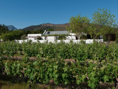 La Galiniere Guest Cottages Franschhoek Western Cape South Africa Complementary Colors, Field, Nature, Agriculture