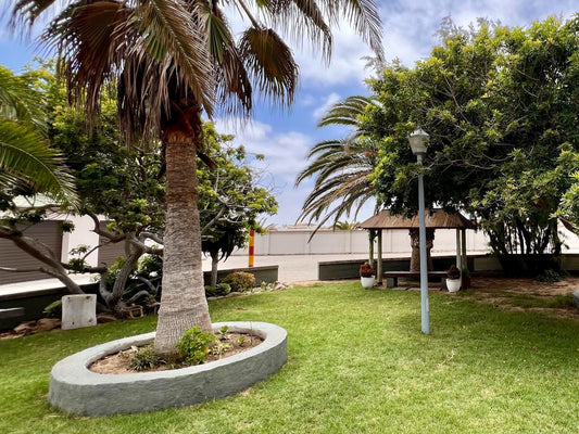 Lagoon Chalets, Palm Tree, Plant, Nature, Wood, Garden