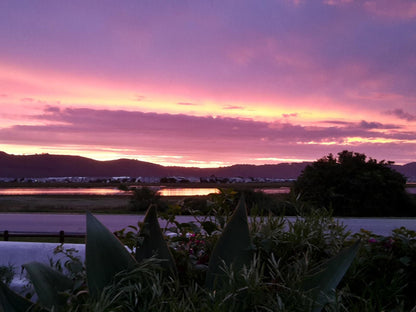 Lagoona Inn Old Place Knysna Western Cape South Africa Palm Tree, Plant, Nature, Wood, Sky, Sunset