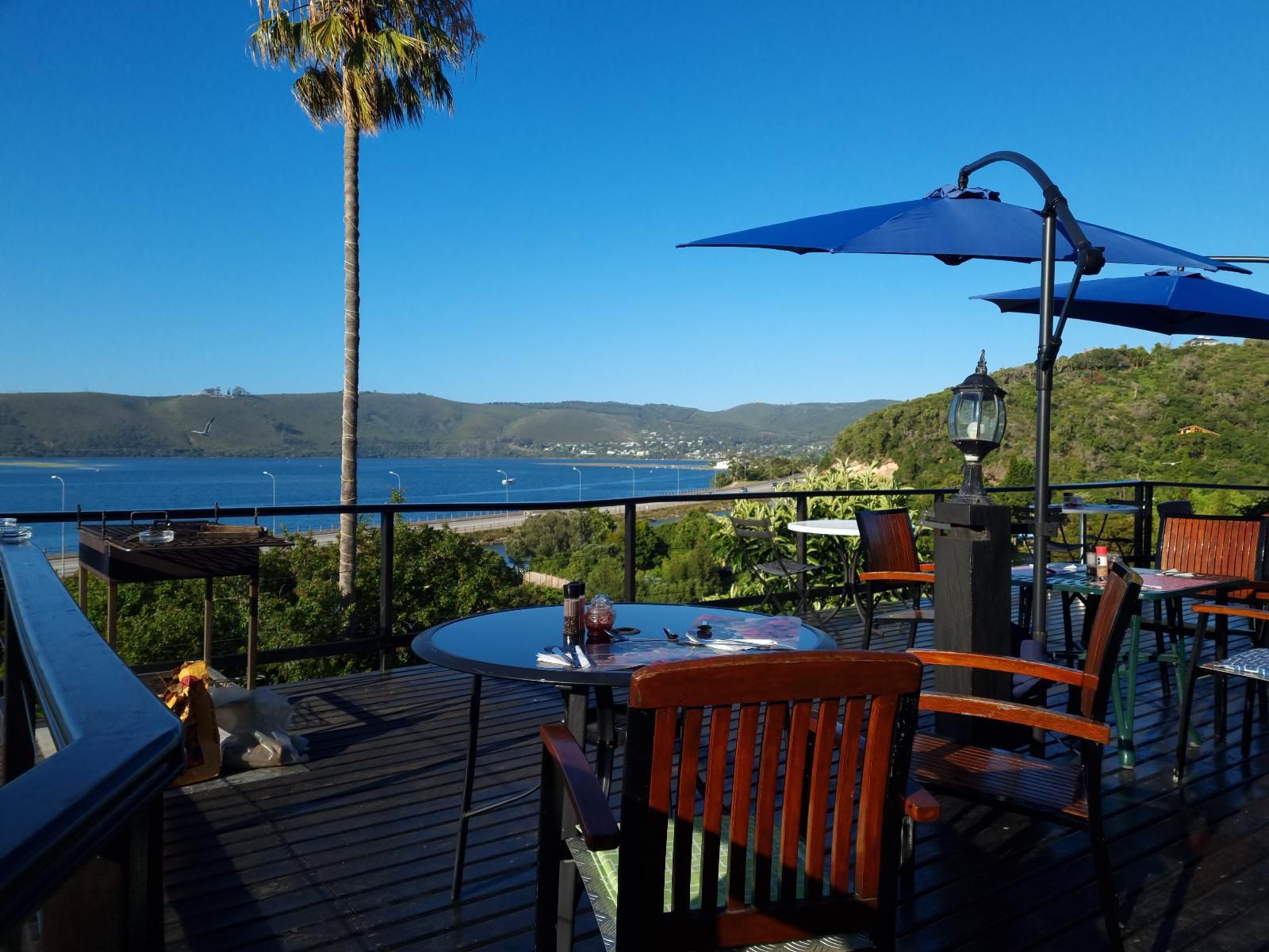 Lagoon Lodge Paradise Knysna Western Cape South Africa Palm Tree, Plant, Nature, Wood