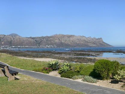 Laguna Beach B8 By Hostagents Greenways Strand Western Cape South Africa Complementary Colors, Palm Tree, Plant, Nature, Wood