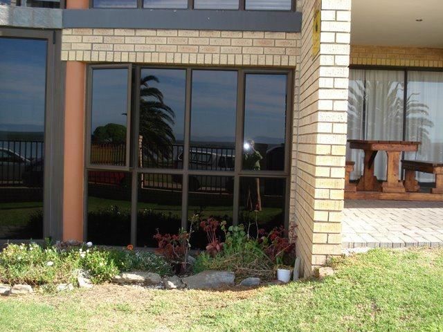 Lagune View Paradise Beach Jeffreys Bay Eastern Cape South Africa Palm Tree, Plant, Nature, Wood, Framing