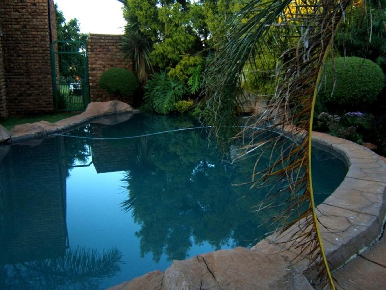 Lahani Lodge Benoni North Johannesburg Gauteng South Africa Palm Tree, Plant, Nature, Wood, Garden, Swimming Pool