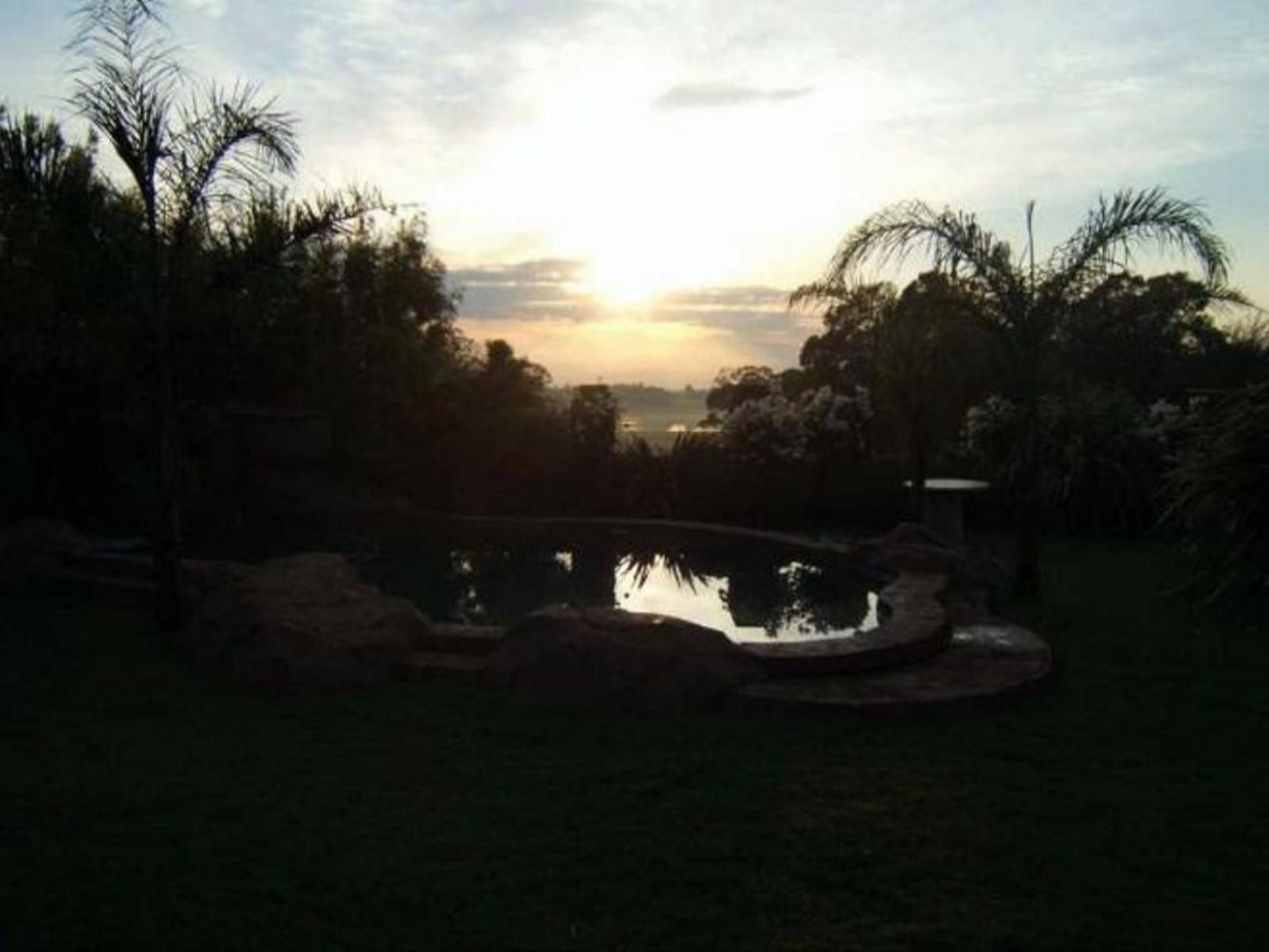 Lahani Lodge Benoni North Johannesburg Gauteng South Africa Palm Tree, Plant, Nature, Wood, Garden, Sunset, Sky, Swimming Pool