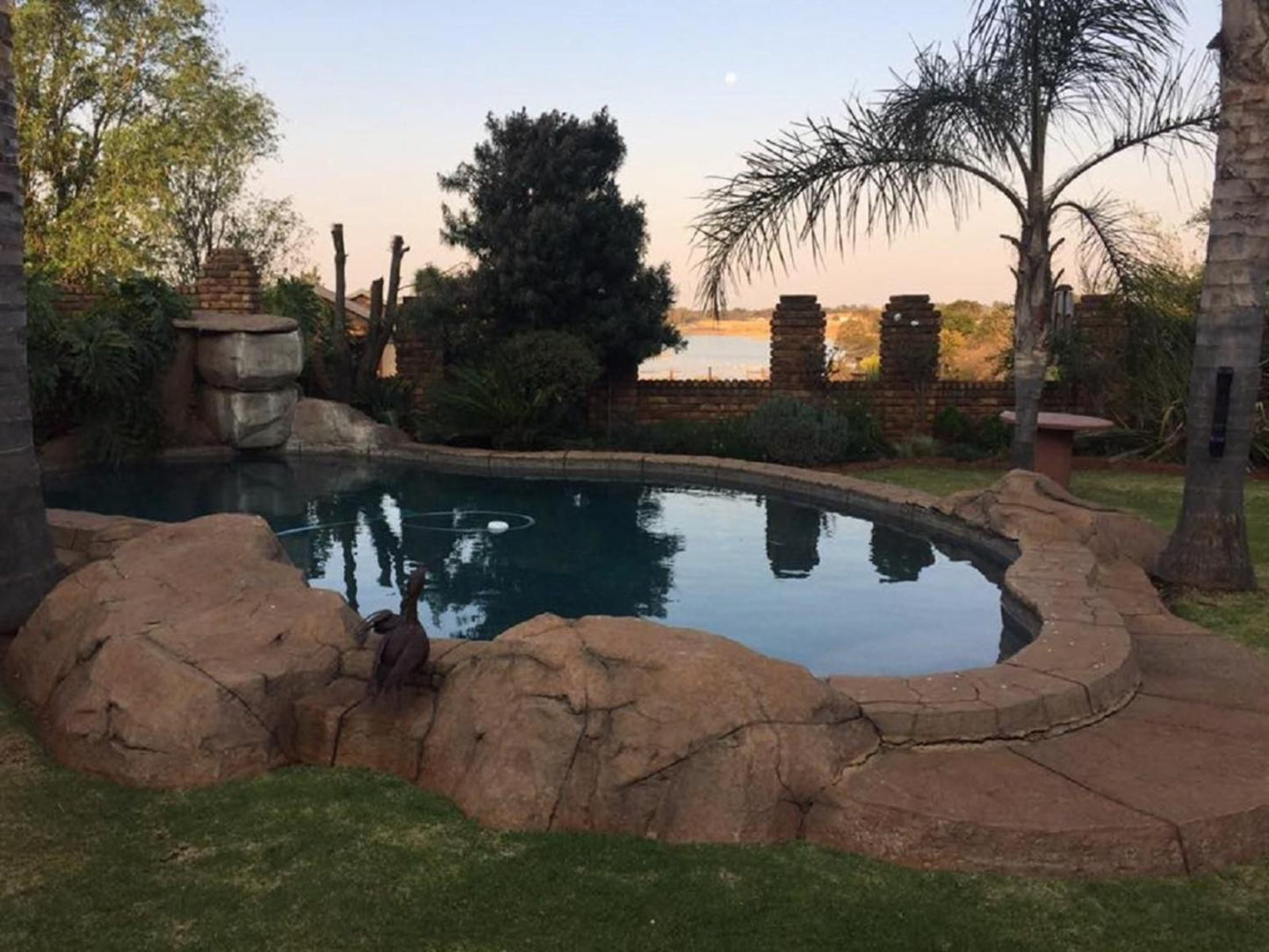 Lahani Lodge Benoni North Johannesburg Gauteng South Africa Garden, Nature, Plant, Swimming Pool
