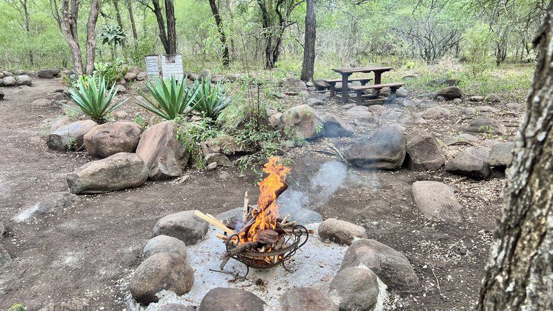 Kruger Kumba Lahlekile Nathi Marloth Park Mpumalanga South Africa Fire, Nature