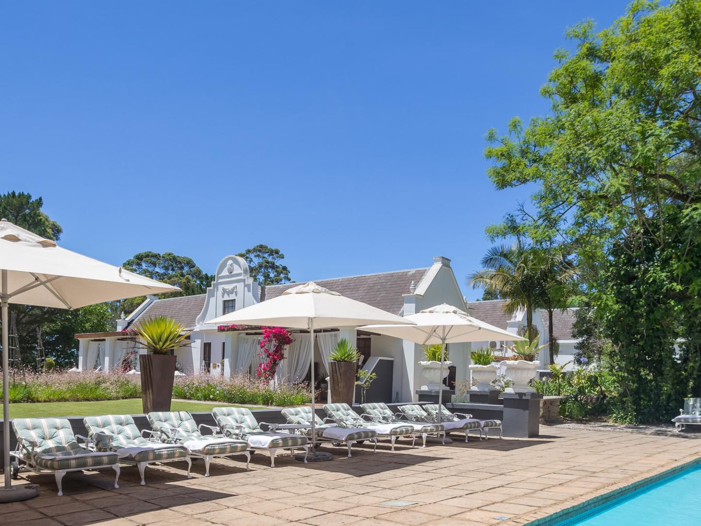 Lairds Lodge Country Estate Harkerville Plettenberg Bay Western Cape South Africa Beach, Nature, Sand, Palm Tree, Plant, Wood, Swimming Pool