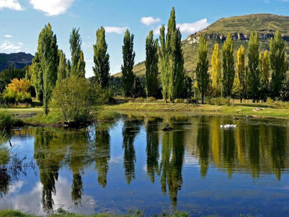Lake Clarens Guest House Clarens Free State South Africa Complementary Colors, River, Nature, Waters, Tree, Plant, Wood