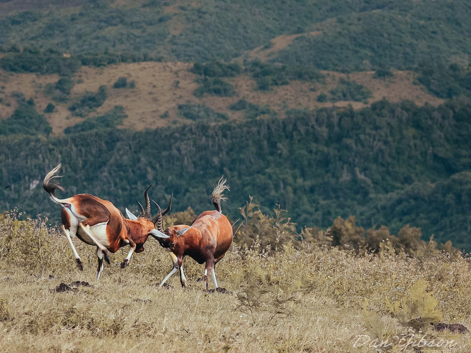 Lake Eland Game Reserve