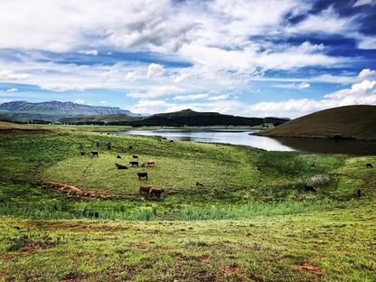 Lake Glencairn Underberg Kwazulu Natal South Africa Complementary Colors, Highland, Nature