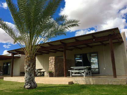Lake Grappa Guest Farm Marchand Northern Cape South Africa Palm Tree, Plant, Nature, Wood