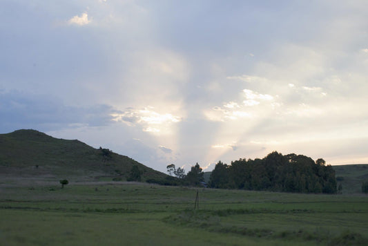 Lake Heron Dullstroom Mpumalanga South Africa Sky, Nature