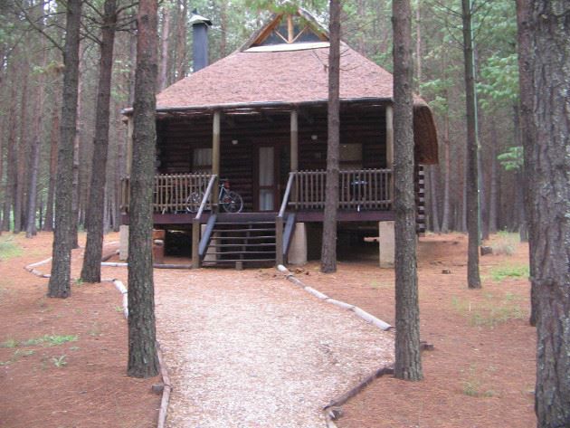 Lakenvlei Forest Lodge Belfast Mpumalanga South Africa Cabin, Building, Architecture, Forest, Nature, Plant, Tree, Wood