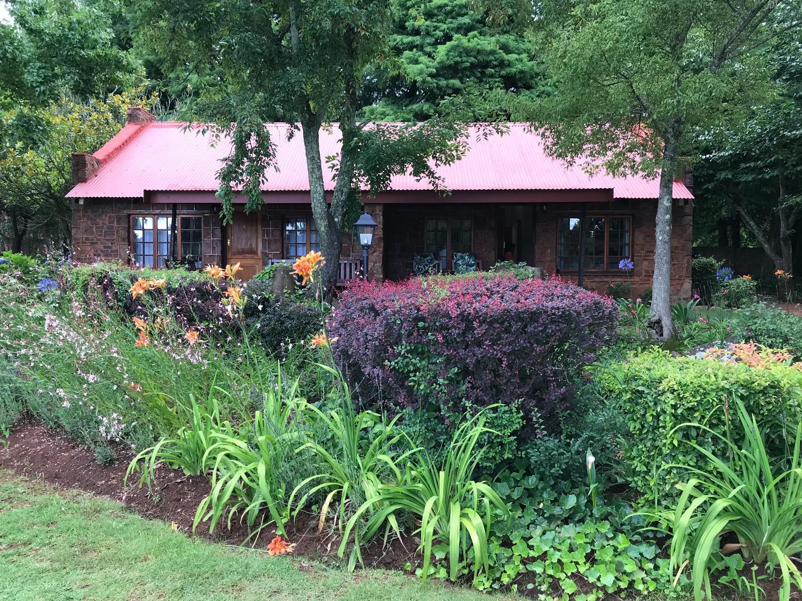 Lakeside Chalets 3 And 4 Critchley Hackle Lodge Dullstroom Mpumalanga South Africa House, Building, Architecture, Plant, Nature, Garden