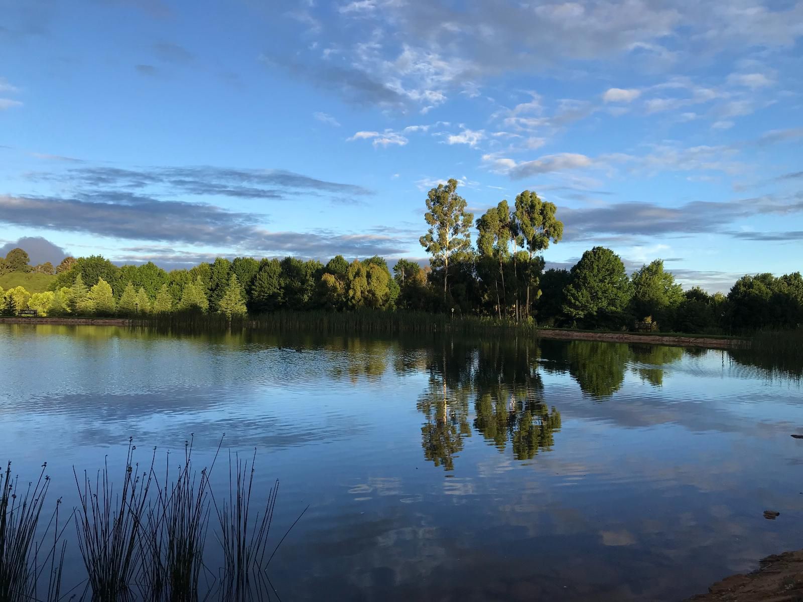 Lakeside Chalets 3 And 4 Critchley Hackle Lodge Dullstroom Mpumalanga South Africa River, Nature, Waters