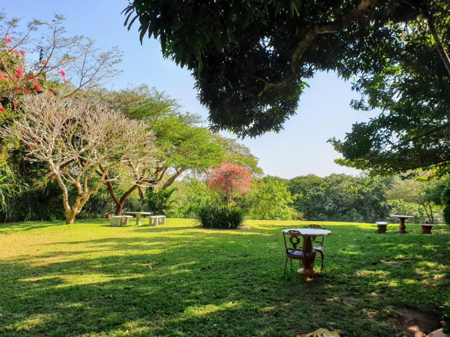 Lake St Lucia Lodge St Lucia Kwazulu Natal South Africa Plant, Nature, Tree, Wood, Garden