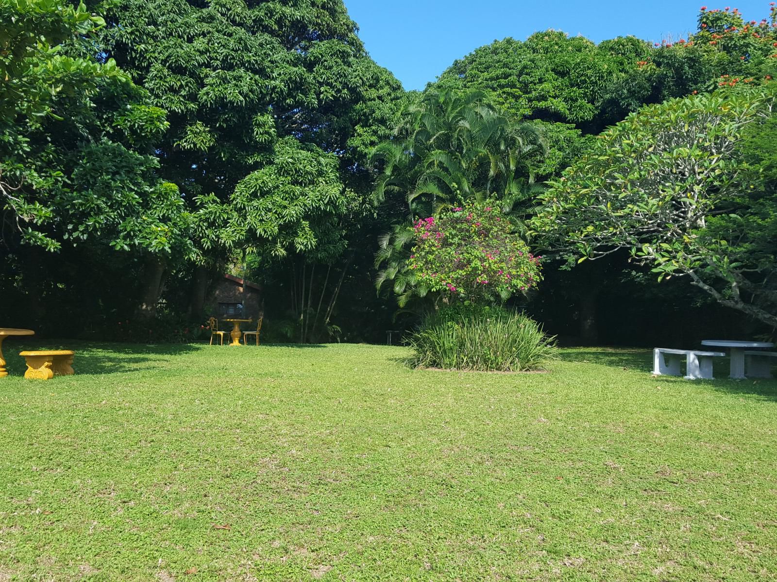 Lake St Lucia Lodge St Lucia Kwazulu Natal South Africa Palm Tree, Plant, Nature, Wood, Garden