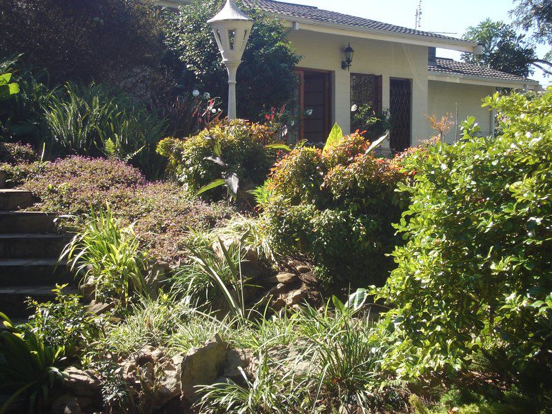 Lakeview Bandb Howick Kwazulu Natal South Africa House, Building, Architecture, Palm Tree, Plant, Nature, Wood, Garden