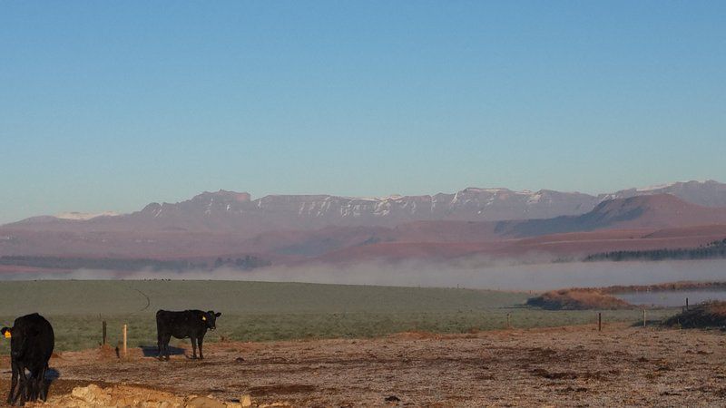 Lake Zonk Mooi River Kwazulu Natal South Africa Desert, Nature, Sand