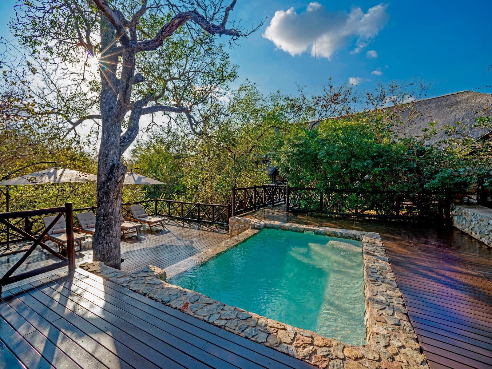 La Kruger Lifestyle Lodge Marloth Park Mpumalanga South Africa Swimming Pool