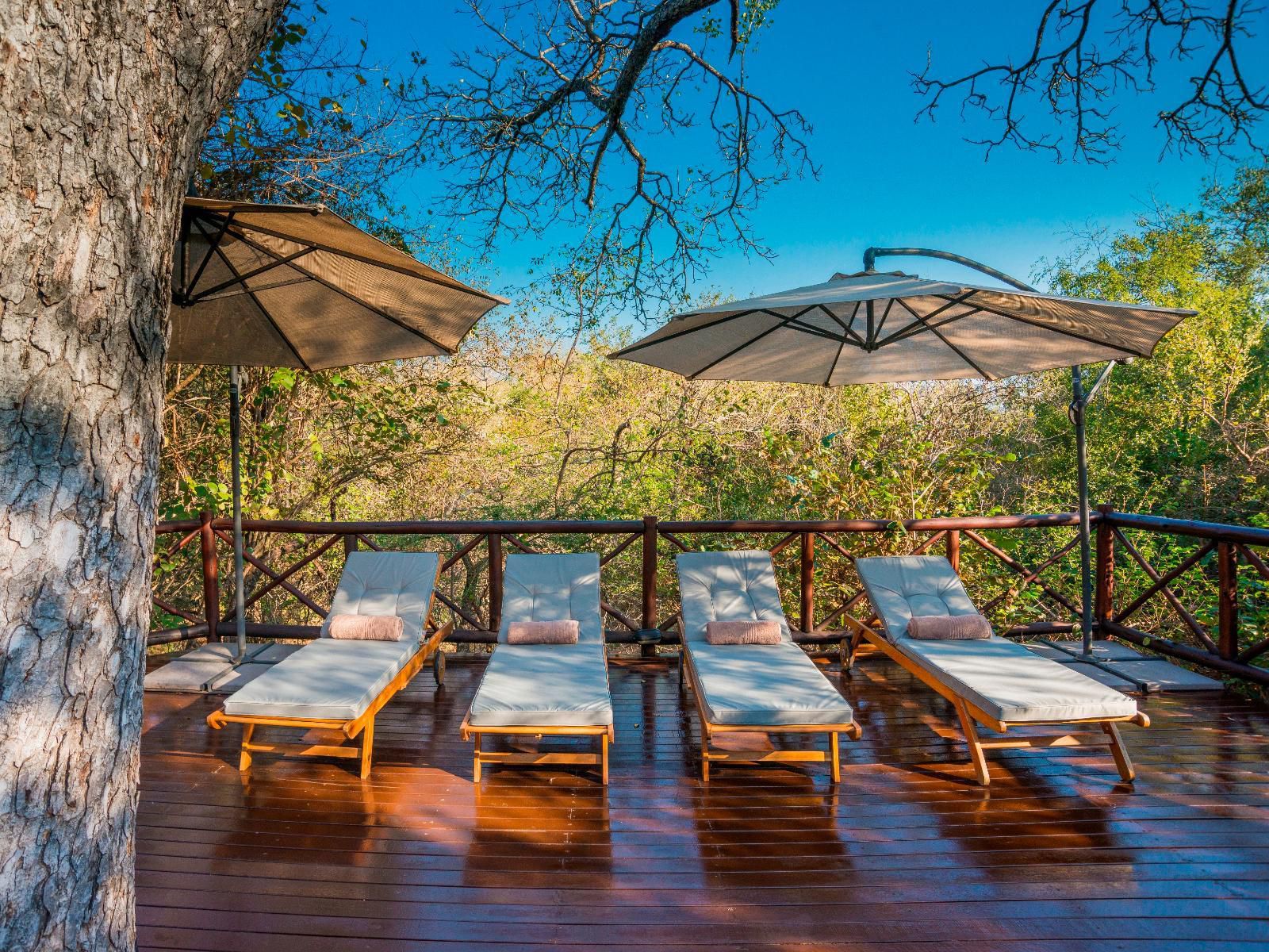 La Kruger Lifestyle Lodge Marloth Park Mpumalanga South Africa Complementary Colors, Swimming Pool