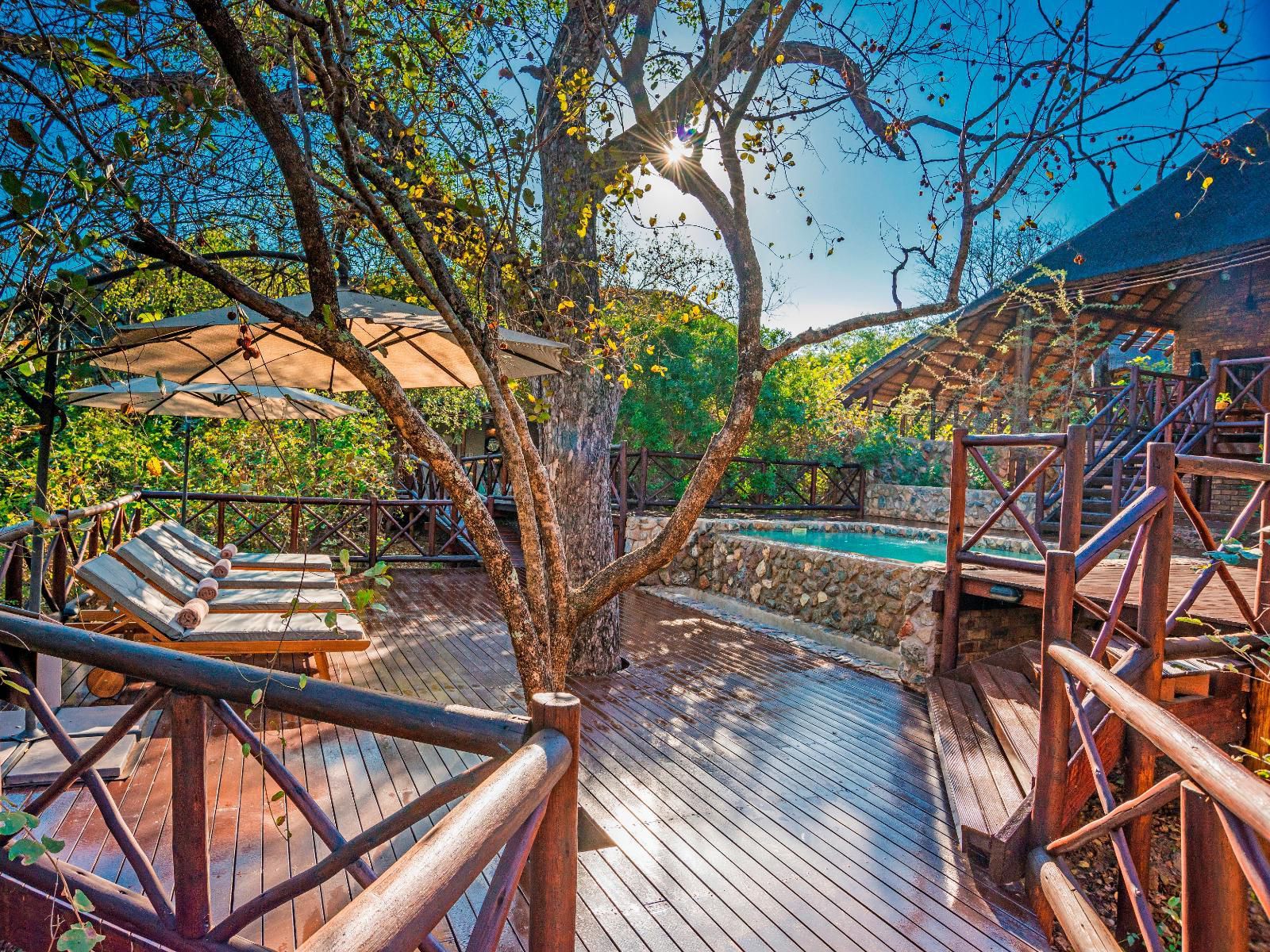 La Kruger Lifestyle Lodge Marloth Park Mpumalanga South Africa Complementary Colors, Garden, Nature, Plant, Swimming Pool