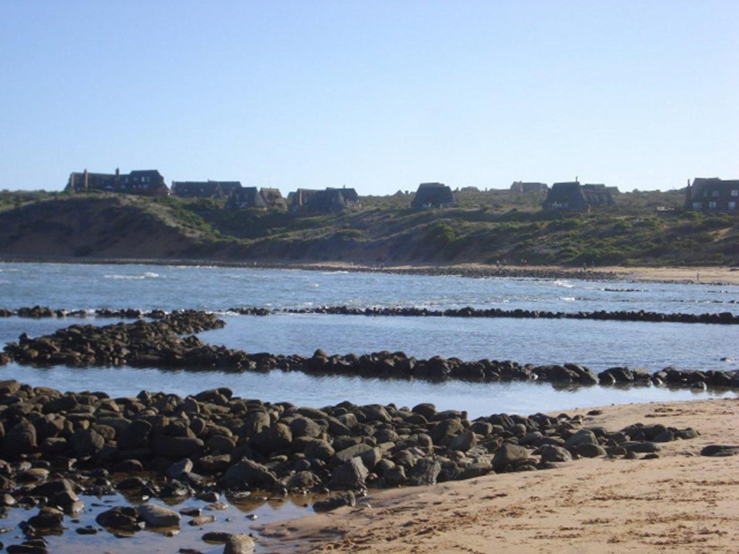 Lala Pansie Still Bay West Stilbaai Western Cape South Africa Beach, Nature, Sand, Cliff