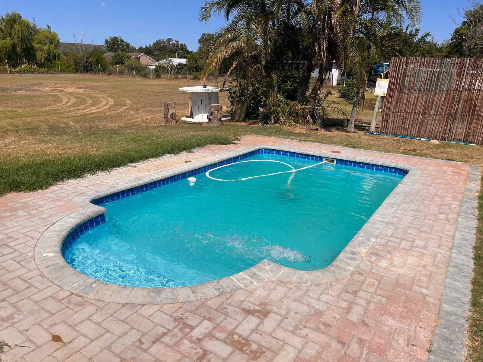 Lalalapa Guesthouse Sunland Eastern Cape South Africa Complementary Colors, Palm Tree, Plant, Nature, Wood, Swimming Pool