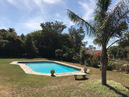 Lalapanzi Guest Lodge Humewood Port Elizabeth Eastern Cape South Africa Complementary Colors, Palm Tree, Plant, Nature, Wood, Garden, Swimming Pool