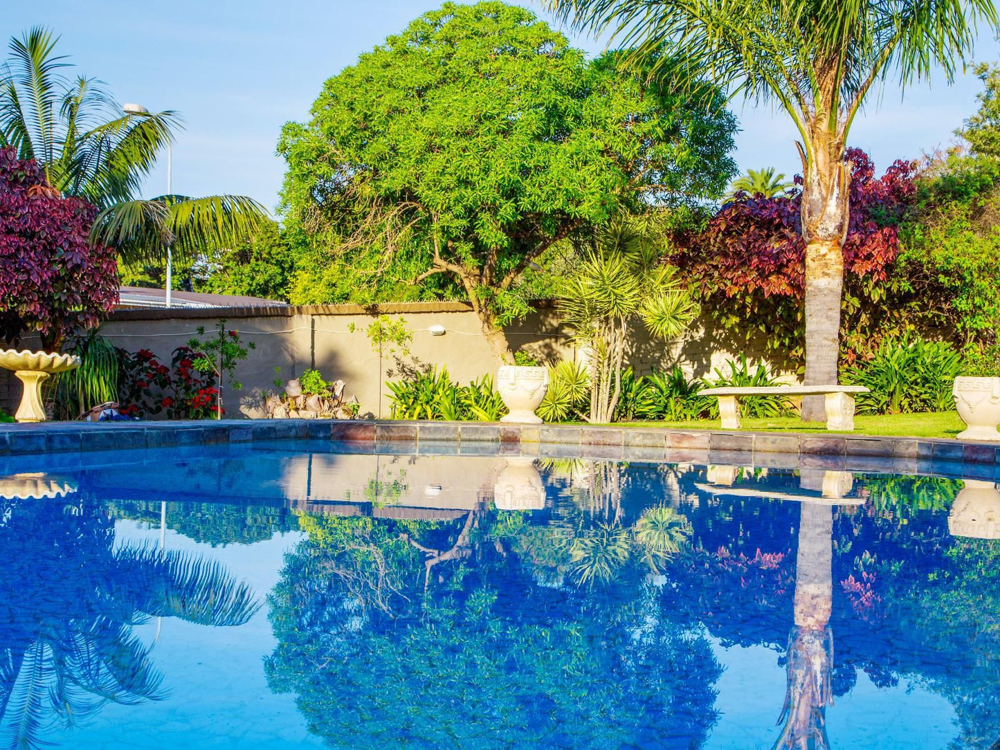 Lalapanzi Guest Lodge Humewood Port Elizabeth Eastern Cape South Africa Complementary Colors, Colorful, Palm Tree, Plant, Nature, Wood, Garden, Swimming Pool